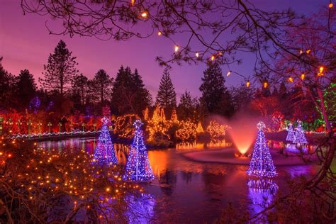 What To Expect At The Vandusen Festival Of Lights