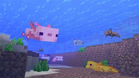 Complete Guide How To Breed Axolotls In Minecraft
