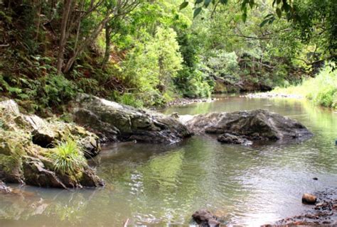 11 All Natural Swimming Holes In Queensland You Need To Know About Now