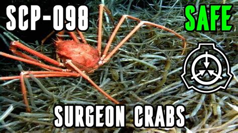 Scp 098 Surgeon Crabs Scp Reading Youtube