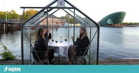 Identifica un essere, un oggetto o un concetto che. Covid-19: neste restaurante holandês, o jantar é servido numa cabine de vidro | Desconfinamento ...