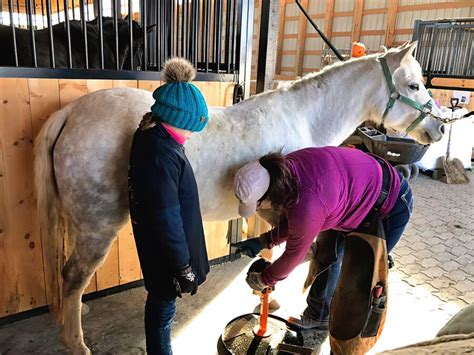 Barefoot Trimming Clinics Across Canada — Hoof Geeks