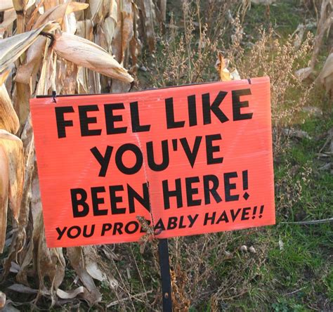 Conquer a corn maze, help a sick child - mlive.com