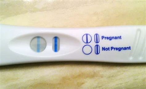 First Response Pregnancy Test 9dpo Peestick Basics 9 And 10 Dpo Live