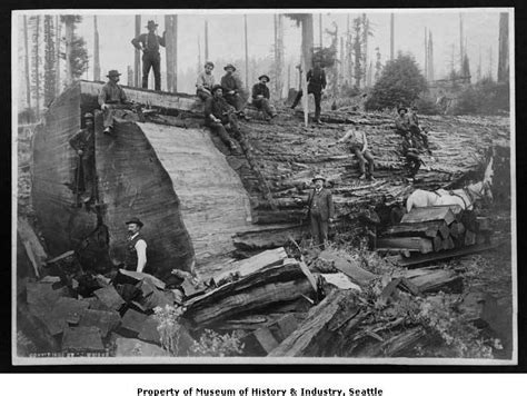 The Northwest S Logging Heritage