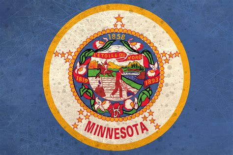 Minnesota Mn State Flag Wall Art Sign Plaque T Etsy