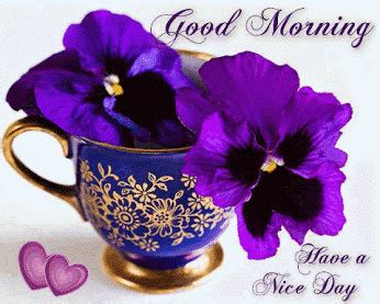 Good morning flowers gif good morning 2020. Morning Glory GIFs - Find & Share on GIPHY