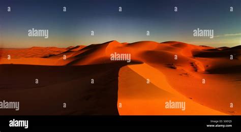 Dramatic Panorama Of Red Sand Dunes In The Sahara Late Afternoon Long