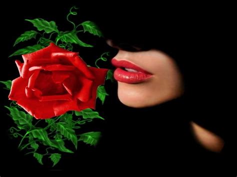 Check spelling or type a new query. rose love wallpapers | beautiful flowers wallpapers ...