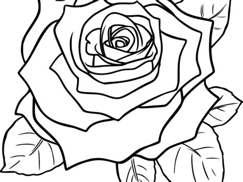 Download Black And White Rose Clipart Black And White Rose Png Full