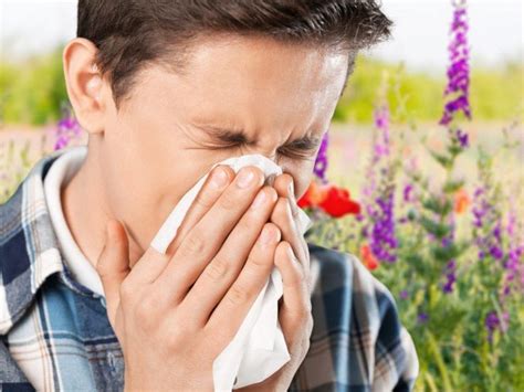 10 Tips For Allergy Relief At Home In 2022 Allergy Relief Allergies