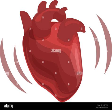 Human Heart Icon Cartoon Vector Medical Organ Cardiac Anatomy Stock