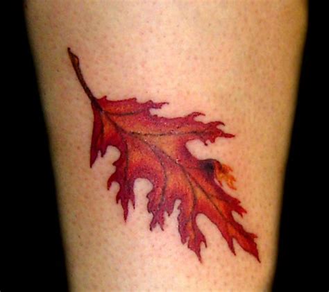Leaf Tattoo Images And Designs