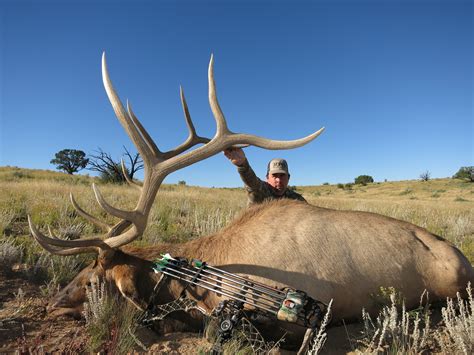 Arizona Elk Hunting — High Point Outfitters