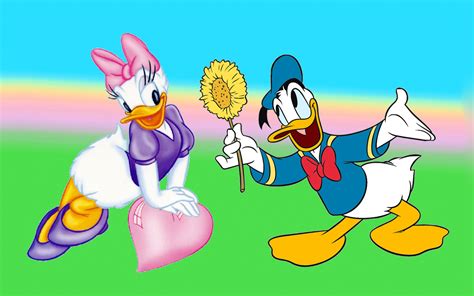 Donald Duck And Daisy Duck Courting Giving The Flower Hd Wallpaper