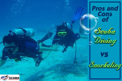 Scuba Diving Vs Snorkeling Montclair California Ssa