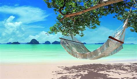 Summer Beach Summer Beach Hammock Hd Wallpaper Peakpx