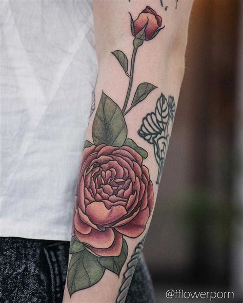 Peachy English Rose Tattoo Inked On The Left Forearm By Olga Nekrasova