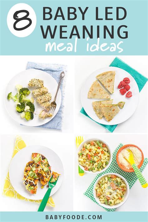 Once your baby is used to the first level of finger foods, he can move on to the next level with more complex textures and flavors. 8 Baby-Led Weaning Meal Ideas for Baby + Toddler - Baby ...