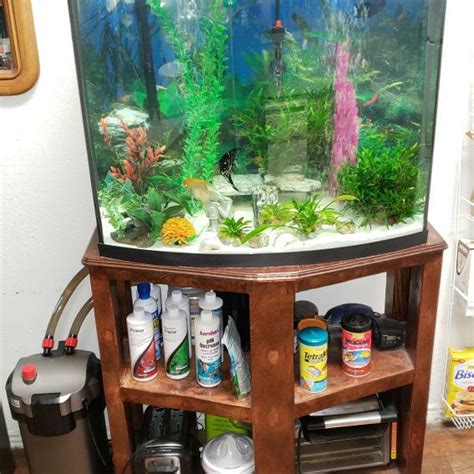 40 Gallon Marineland Bowed Front Aquarium Accessories And Stand For