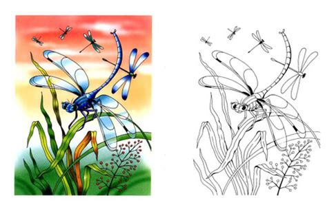 Coloring pages are an exceptional method of enabling your for your information, there is another 38 similar images of dragonfly coloring pages for adults that federico crist uploaded you can see below Dragonflies coloring page | SuperColoring.com