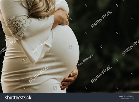 Maternity Baby Bump Photo Shoot Stock Photo 1480245833 Shutterstock