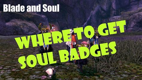 These people will be travelling in and out of soul separation throughout the fight, put six in one party, and the rest in the other party in each other party. Blade and Soul How to Get Soul Badges! - YouTube