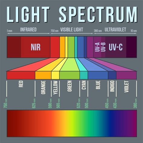 Understanding The Light Spectrum Of Led Grow Lights