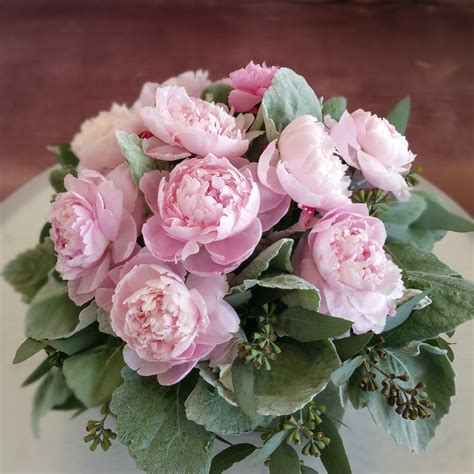 Matured peonies will have an extensive system of thick storage roots; PEONIES DELIGHT in Vista, CA | Tri-City Florist