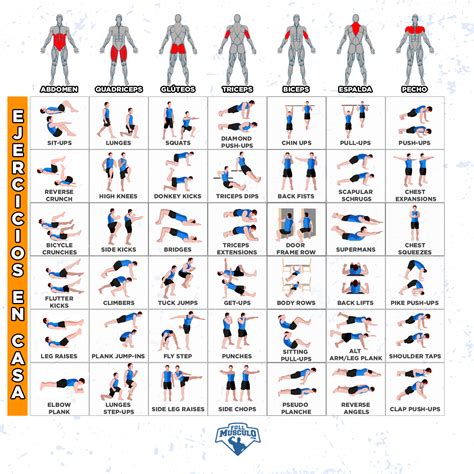 Rutina De Entrenamiento En Casa De 4 Semanas FullMusculo Com