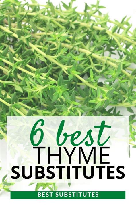 Like thyme, marjoram is a member of the mint family, so it can bring many of the same flavors to your dish. 6 Best Thyme Substitutes: What Can I Substitute for Thyme ...