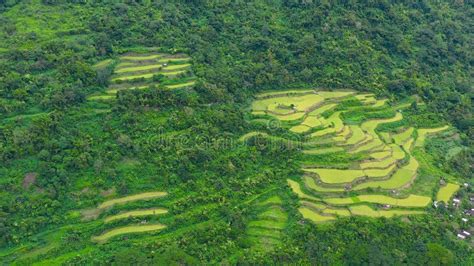 Rice Terrace In Cordillera Mountains Luzon Philippines Stock Image