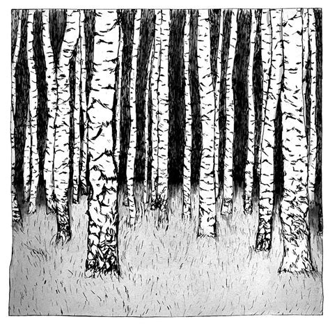Birch Trees Art Print Black And White — Drawn Together Art Collective