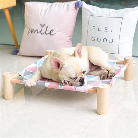 Environment—lots of love, comfort, warmth, encouragement, and a peaceful environment. The Best Cooling Beds For French Bulldogs In 2020 ...