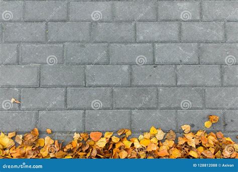 Autumn Leaves On Paving Stone Bricks Background Stock Photo Image Of
