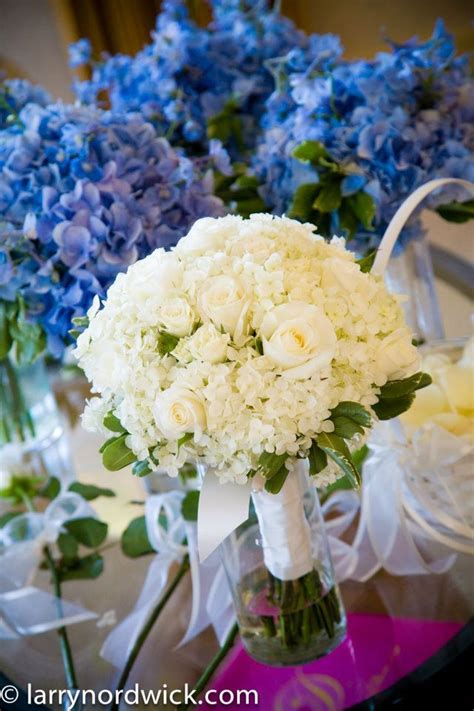 classic white hydrangea and rose bridal bouquet with blue hydrangea bridesmaids bouquets