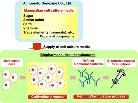 Ajinomoto Genexines New Plant For Cell Culture Media For