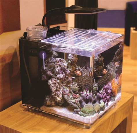 Tmc Microhabitat 15 Is A Nano Aquarium Which Will Be Ready For You To