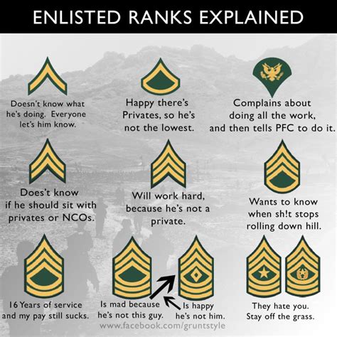 Military Enlisted Army Ranks Enlisted Ranks Army Medals Army