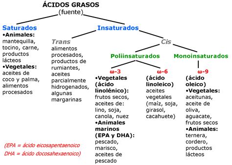 ¿qué Son Los Lípidos