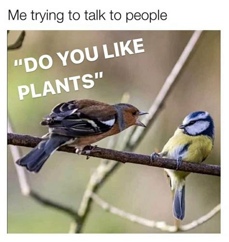 60 Plant Memes For You To Dig Through Funny Gallery Ebaums World