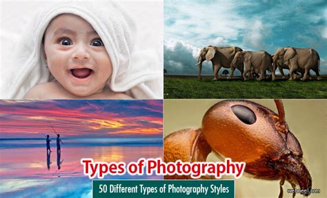 10 Types Of Photography