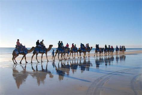Djerba Lagoon Camel Ride Experience Getyourguide