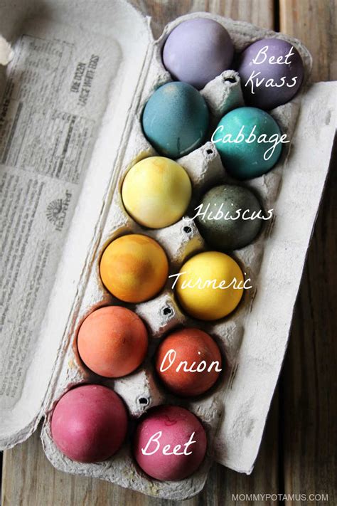 Celebrate Easter Naturally Dyeing Eggs With Plants And