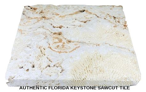 Authentic Florida Keystone Coquina Stone And Coral Stone Tiles By