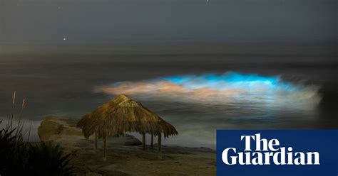 California Surf Shimmers With Bioluminescence In Pictures