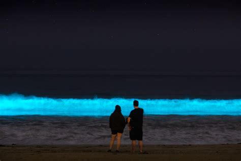 Why Are There Glowing Waves At Southern California Beaches Right Now