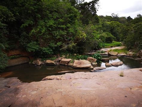 Paradise Valley Nature Reserve Pinetown 2020 All You Need To Know