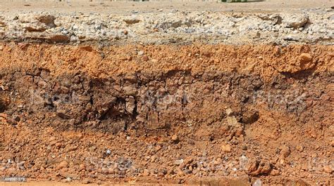 Layer Soil Stock Photo - Download Image Now - iStock