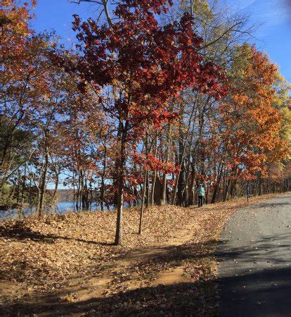 Please watch the following video that tells the amazing story of the silent sentinels and their fight for. Hidden jewel! - Review of Algonkian Regional Park ...